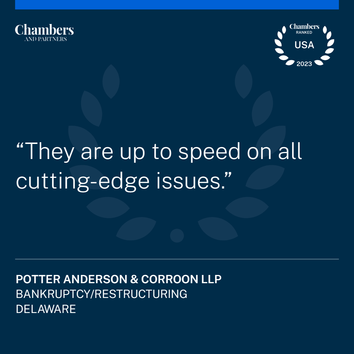 Potter Anderson Chambers quote